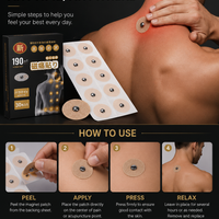 WOLLET Magnetic Acupressure Patches – 800 Gauss Hematite Magnets Kit