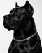Wollet Magnetic Dog Collar, Premium Stainless Steel Pet Necklace