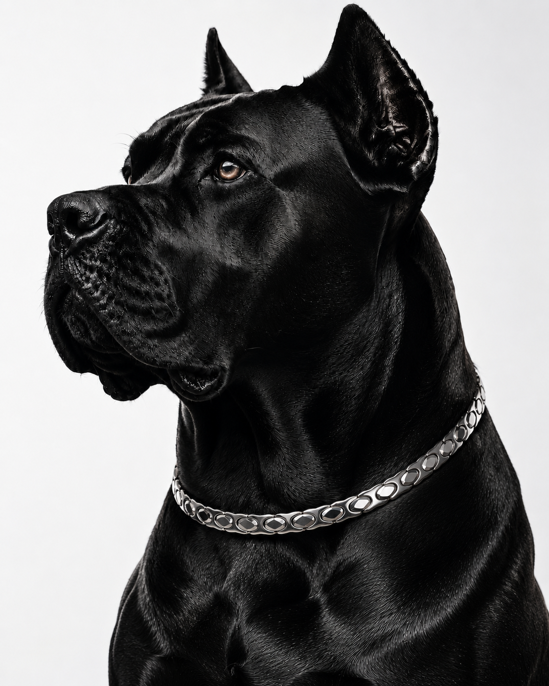 Wollet Magnetic Dog Collar, Premium Stainless Steel Pet Necklace