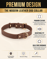 Classic Brown Dog Collar with Gold-Tone Hardware – Adjustable & Elegant
