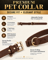 Classic Brown Dog Collar with Gold-Tone Hardware – Adjustable & Elegant