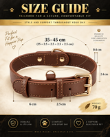 Classic Brown Dog Collar with Gold-Tone Hardware – Adjustable & Elegant