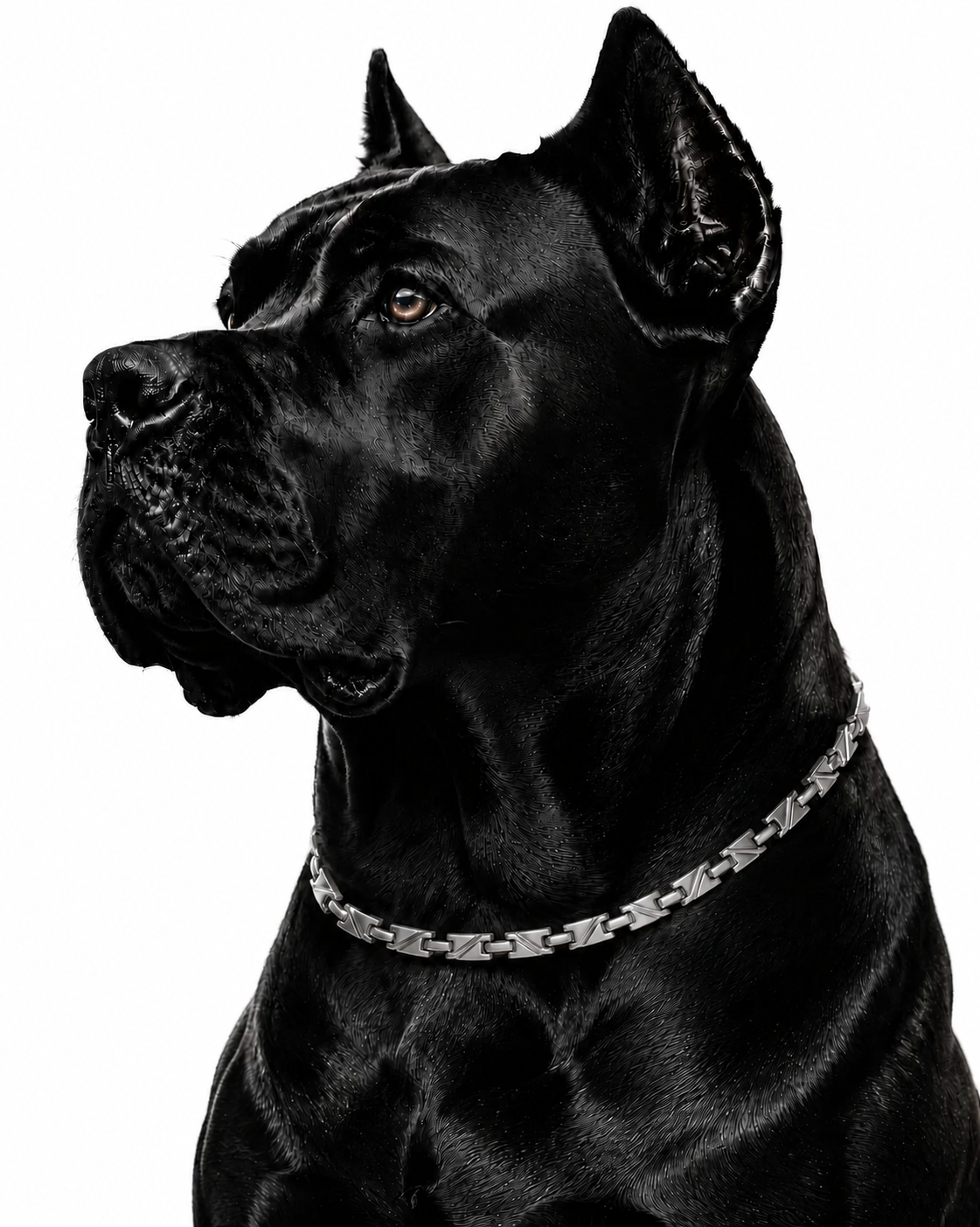 WOLLET Stainless Steel Magnetic Dog Collar