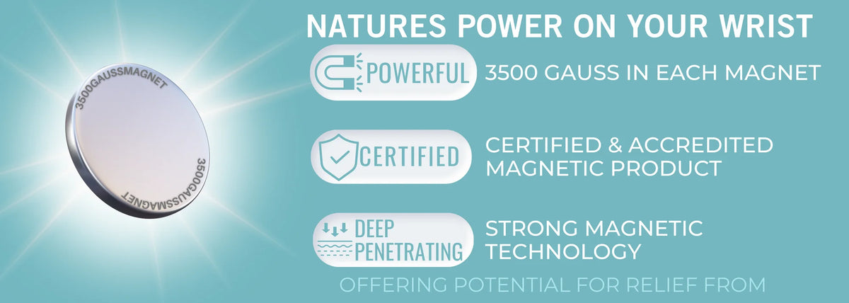 WOLLET product details
