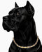 WOLLET Magnetic Dog Collar