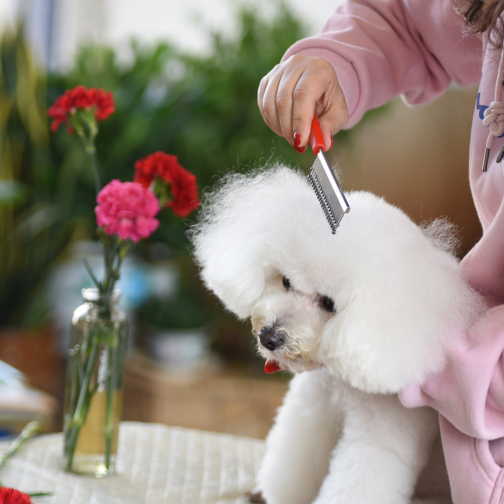 Stainless Steel Pet Grooming Comb – Detangling & Deshedding Tool