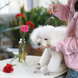 Stainless Steel Pet Head Massager – Gentle Relaxation & Grooming Tool