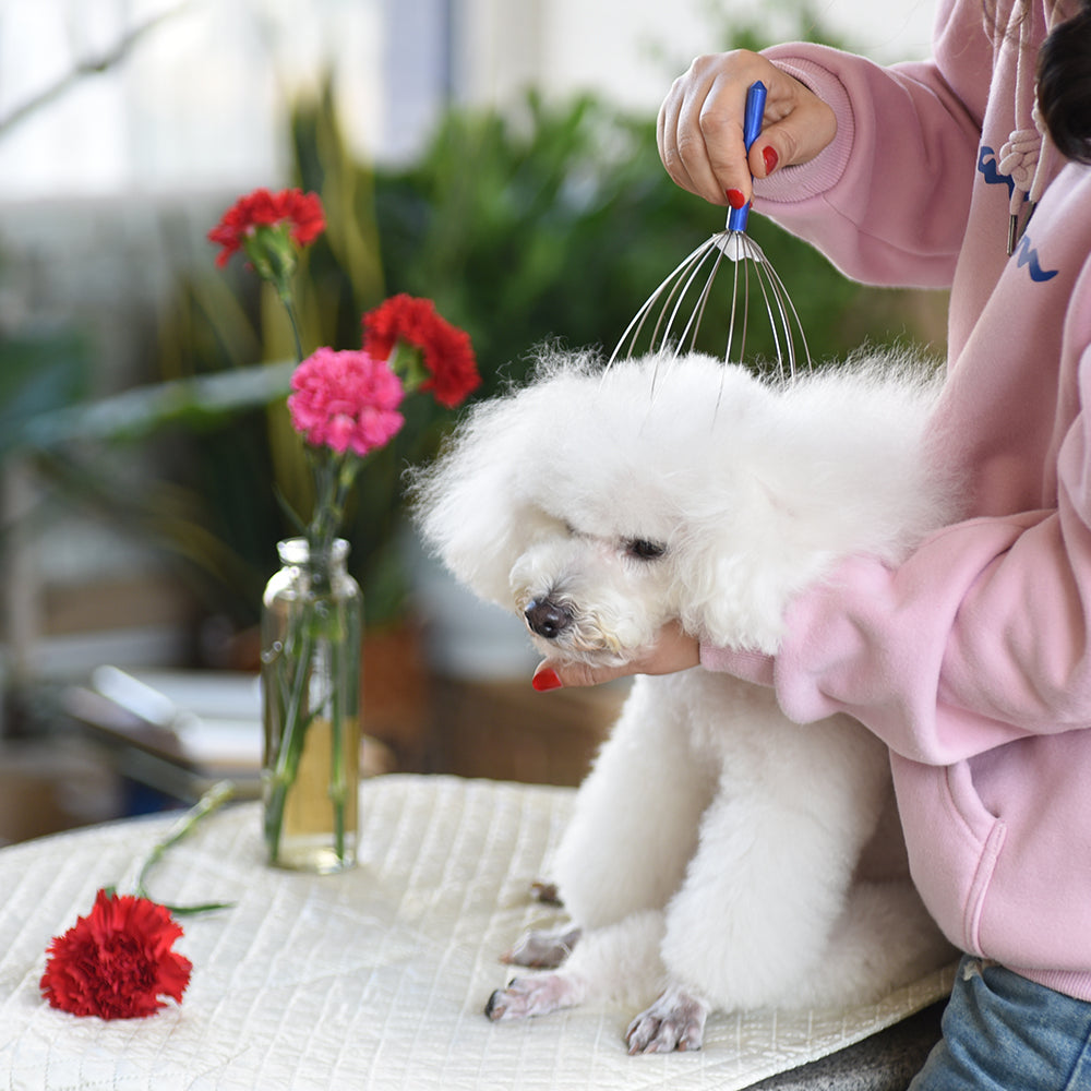 Stainless Steel Pet Head Massager – Gentle Relaxation & Grooming Tool