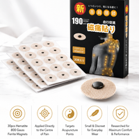 WOLLET Magnetic Acupressure Patches – 800 Gauss Hematite Magnets Kit